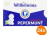 Fortuin - Wilhelmina Peppermint Vegan - 24x 100g
