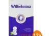 Fortuin - Wilhelmina Peppermint Vegan - 12x 100g