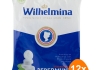 Fortuin - Wilhelmina Peppermint Vegan - 12x 1kg