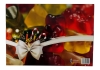 Haribo - Fruit Gummies Advent Calendar - 515 g