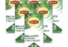 Lipton - Feel Good Selection Green Tea Orient - 6x 25 Tea bags
