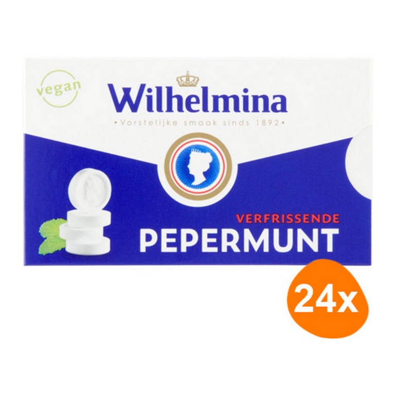 Fortuin - Wilhelmina Peppermint Vegan - 24x 100g