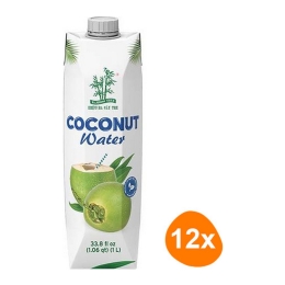 Bamboo Tree - Coconut Water - 12x 1 ltr
