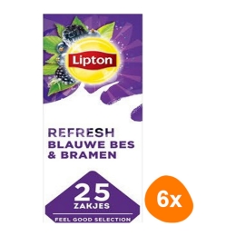 Lipton - Feel Good Selection Black Tea Blueberry & Blackberry - 6x 25 Tea bags