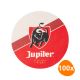 Jupiler - Beer Mats - 100 pcs.